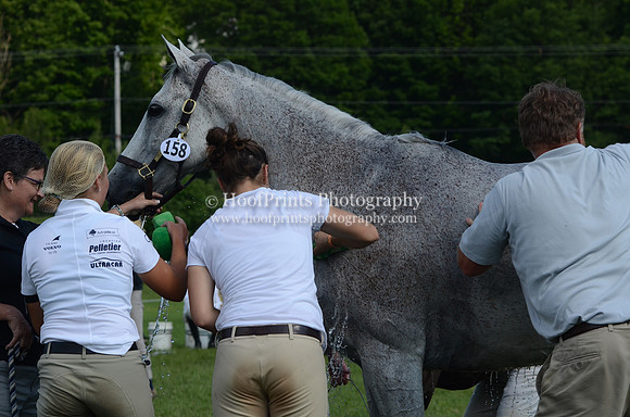 2012, Bromont, Buckharo, Eventing, Horse Trials, Lindsay Kelley