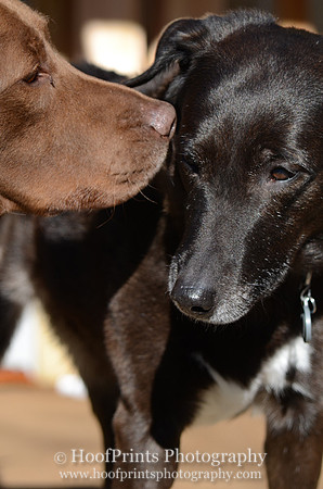 Casey loves Nikita