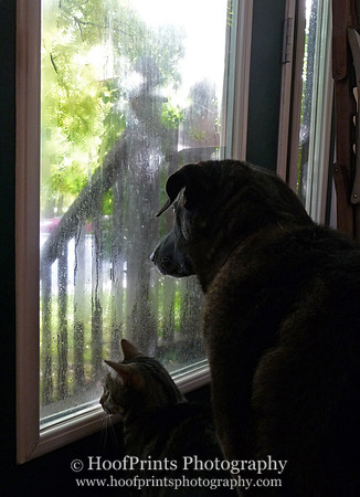 Nikita & Murphy