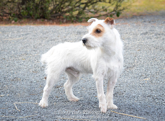Bailey